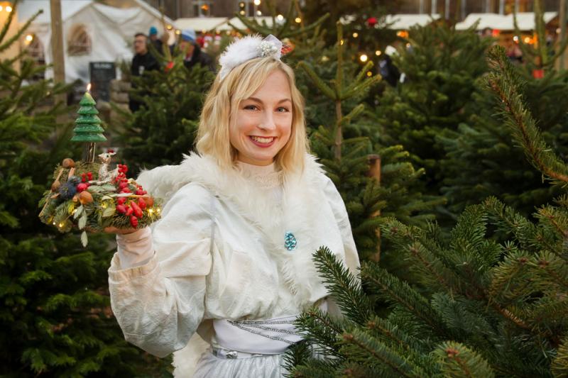 Foto: Weihnachtsmarkt in den Späthschen Baumschulen